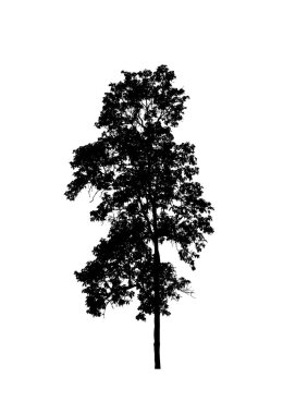 Beyaz arkaplanda fırça için ağaç silueti