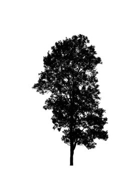 Beyaz arkaplanda fırça için ağaç silueti