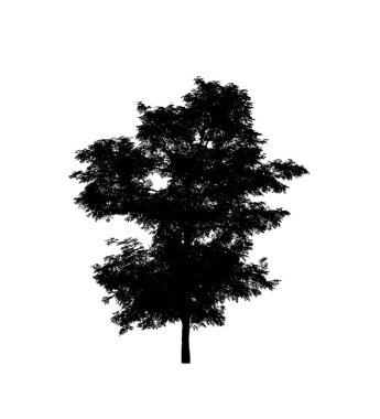 Beyaz arkaplanda fırça için ağaç silueti