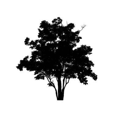 Beyaz arkaplanda fırça için ağaç silueti