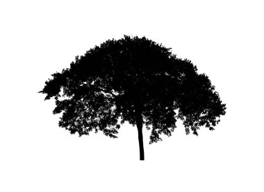 Beyaz arkaplanda fırça için ağaç silueti