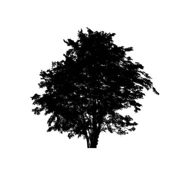 Beyaz arkaplanda fırça için ağaç silueti