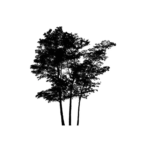 Sílhueta Árvore Para Escova Fundo Branco — Fotografia de Stock
