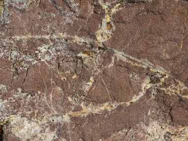 Taşların dokusu doğa arkaplan fotoğrafı.