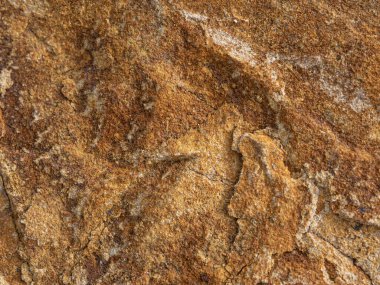 Taşların dokusu doğa arkaplan fotoğrafı.