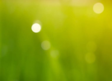 Odak dışında soyut bokeh bulanık renk arkaplanı.