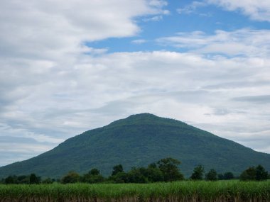 Orman dağları üzerinde yağmur.