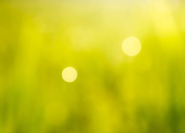 Odak dışında soyut bokeh bulanık renk arkaplanı.