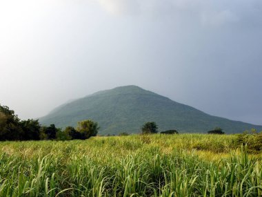 Orman dağları üzerinde yağmur.