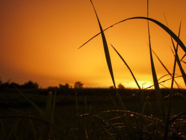 Muhteşem günbatımı sona erdi, ufukta turuncu güneş yükseliyor.