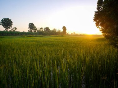 Muhteşem günbatımı sona erdi, ufukta turuncu güneş yükseliyor.