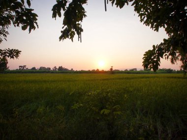Muhteşem günbatımı sona erdi, ufukta turuncu güneş yükseliyor.