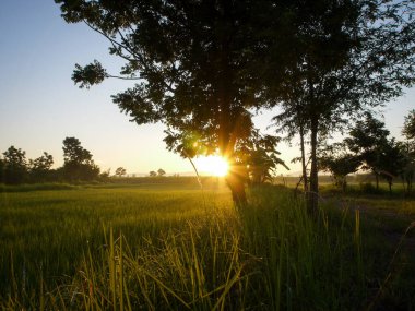 Muhteşem günbatımı sona erdi, ufukta turuncu güneş yükseliyor.