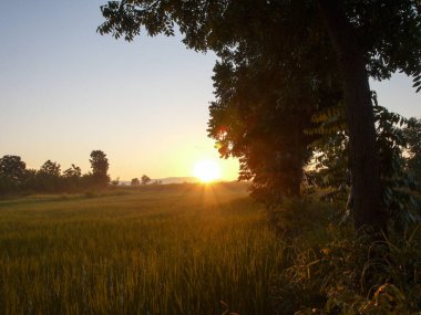 Muhteşem günbatımı sona erdi, ufukta turuncu güneş yükseliyor.