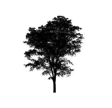 Beyaz arkaplanda fırça için ağaç silueti
