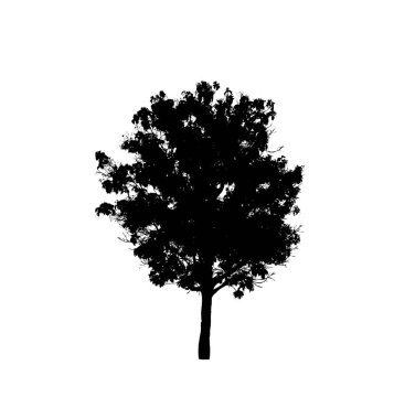 Beyaz arkaplanda fırça için ağaç silueti