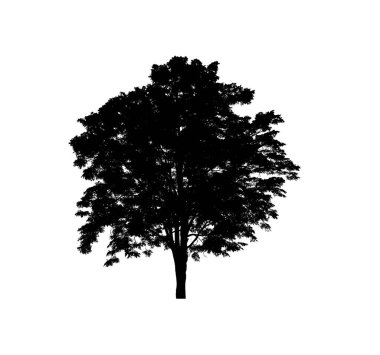 Beyaz arkaplanda fırça için ağaç silueti