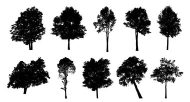 Beyaz arkaplanda fırça için ağaç silueti