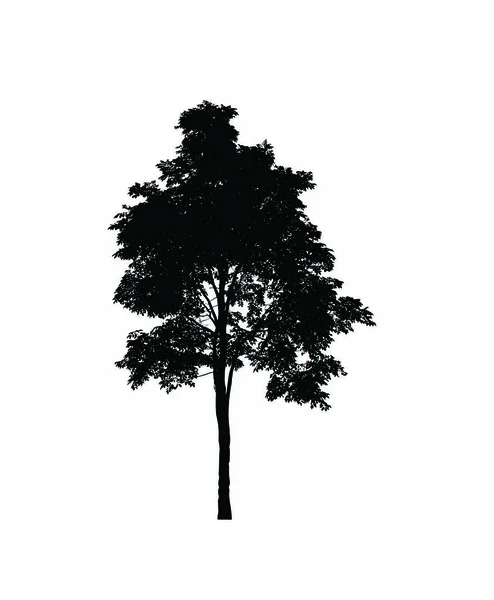 Tree Silhouette Brush White Background — Stock Photo, Image