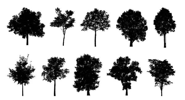 Beyaz arkaplanda fırça için ağaç silueti