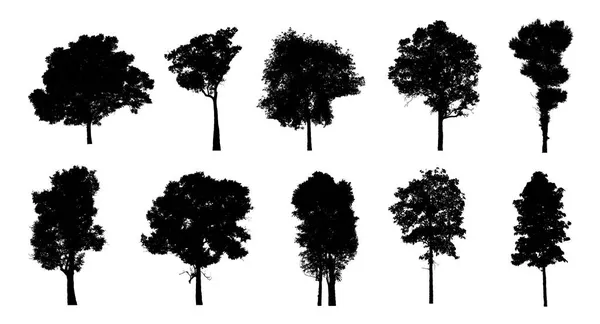 Set Trees Silhouette Brush White Background — Stock Photo, Image