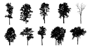 Beyaz arkaplanda fırça için ağaç silueti