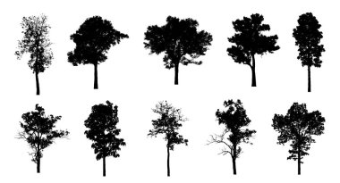 Beyaz arkaplanda fırça için ağaç silueti