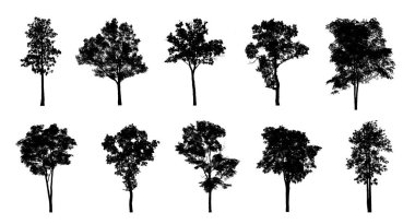 Beyaz arkaplanda fırça için ağaç silueti