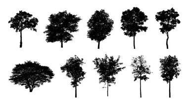 Beyaz arkaplanda fırça için ağaç silueti