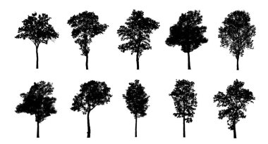 Beyaz arkaplanda fırça için ağaç silueti