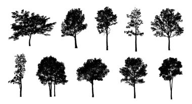 Beyaz arkaplanda fırça için ağaç silueti