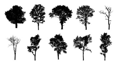 Beyaz arkaplanda fırça için ağaç silueti