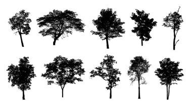 Beyaz arkaplanda fırça için ağaç silueti