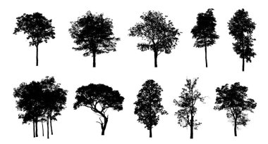 Beyaz arkaplanda fırça için ağaç silueti