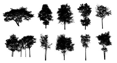 Beyaz arkaplanda fırça için ağaç silueti