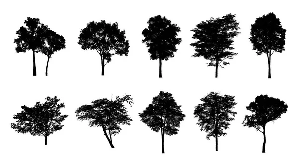 Sada Stromů Silueta Pro Štětec Bílém Pozadí — Stock fotografie