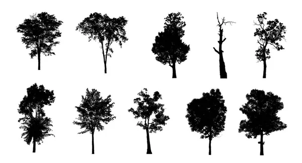 Set Trees Silhouette Brush White Background — Stock Photo, Image