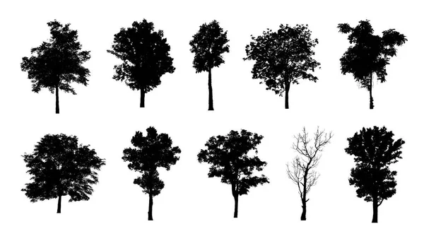 Set Trees Silhouette Brush White Background — Stock Photo, Image