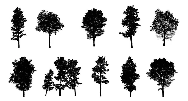 Set Alberi Silhouette Pennello Sfondo Bianco — Foto Stock