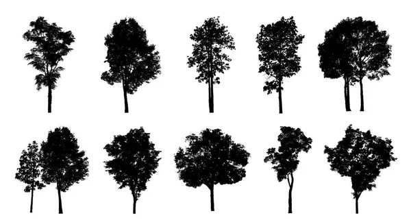 Conjunto Árvores Silhueta Para Escova Sobre Fundo Branco — Fotografia de Stock