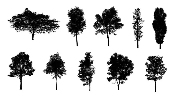 Set Trees Silhouette Brush White Background — Stock Photo, Image