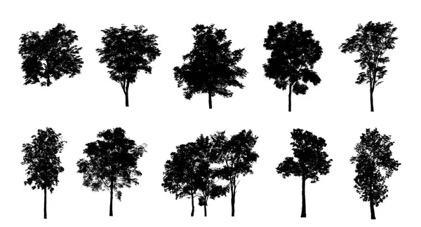 Zestaw Drzewek Sylwetka Pędzla Białym Tle — Zdjęcie stockowe