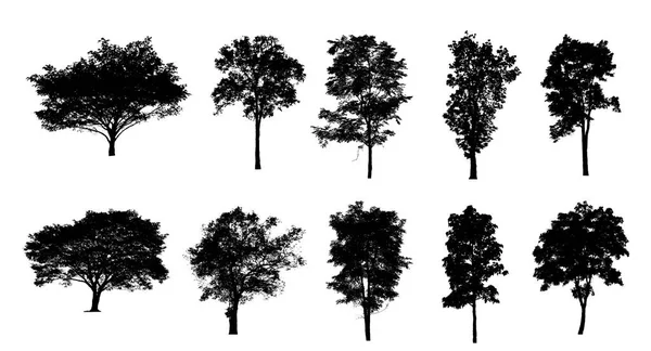 Beyaz arkaplanda fırça için ağaç silueti