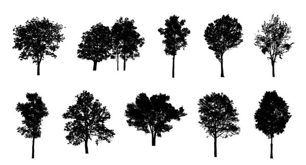 Set of trees silhouette for brush on white background