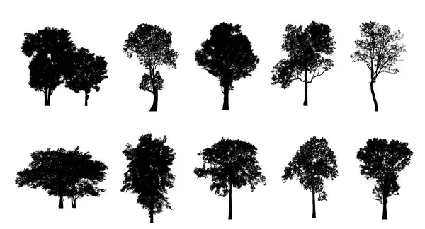 Набор Деревьев Силуэта Кисти Белом Фоне — стоковое фото