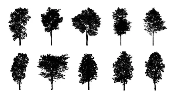 Set Alberi Silhouette Pennello Sfondo Bianco — Foto Stock