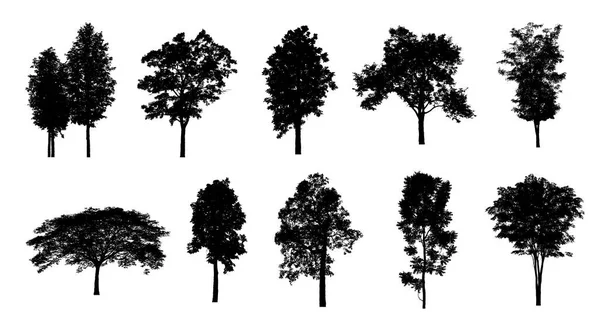 Set Trees Silhouette Brush White Background — Stock Photo, Image