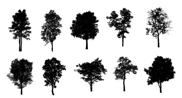 Set Alberi Silhouette Pennello Sfondo Bianco — Foto Stock