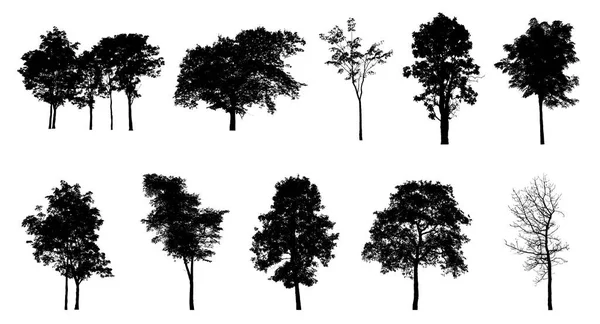 Sada Stromů Silueta Pro Štětec Bílém Pozadí — Stock fotografie