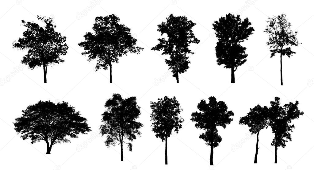 Set of trees silhouette for brush on white background